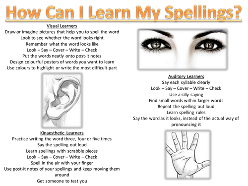 how-can-i-learn-my-spellings-teaching-resources