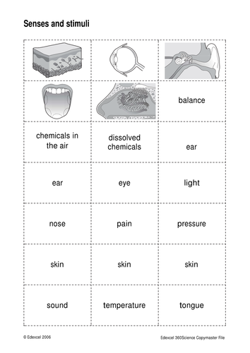 AQA Biology Coordination and control B1