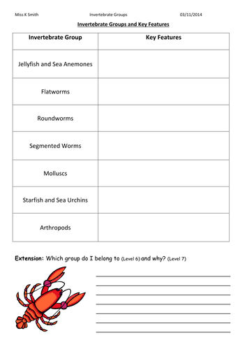 invertebrates classification worksheet