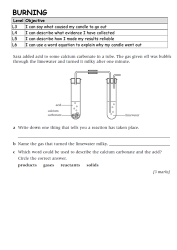 Combustion Starter & Outcome Sheets