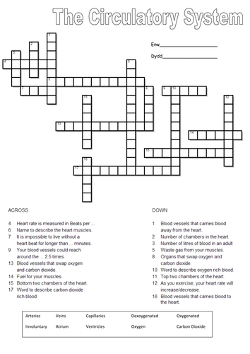 The heart and circulatory system crossword puzzle