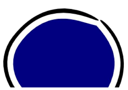 SOLO Taxonomy Blockposters