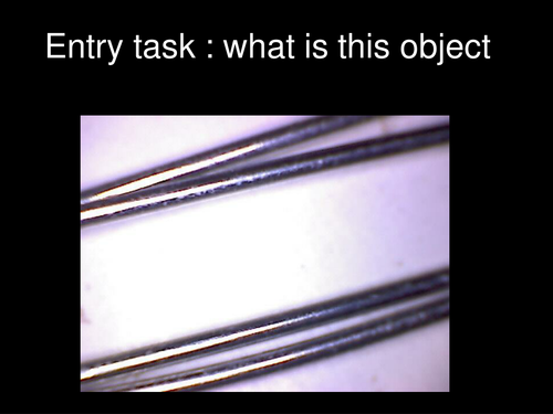 design phi Paley ppt