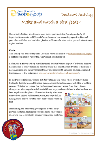 Make and Watch a Bird Feeder