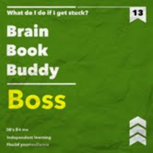 Resilience Posters- 3B's: before asking teacher