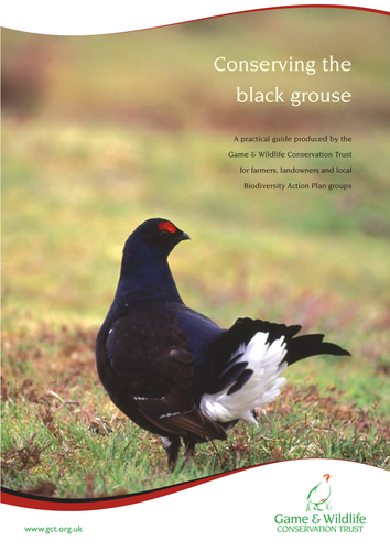 Black Grouse - A bird in trouble
