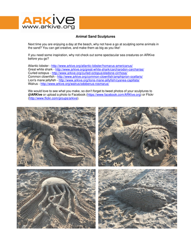 Animal Sand Sculptures
