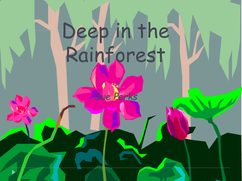 Deep in the Rainforest