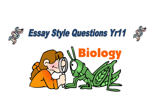 End of unit summary task