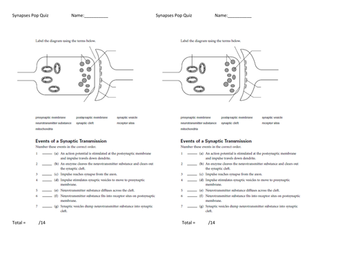 Muscles unit | Teaching Resources