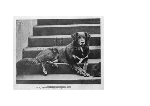 Victorians Queen Victoria SB and matching activity