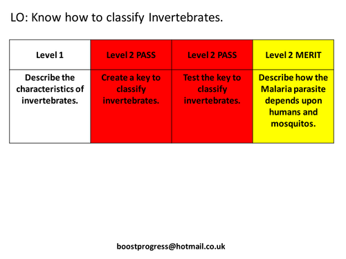 KS2,3 or 4  Biology of Variation 4 - Invertebrates