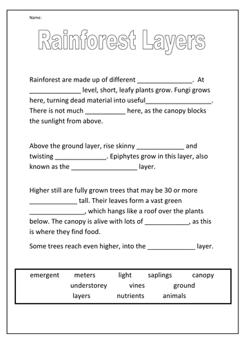 pre worksheets animal k Resources CatStobes by  Tes  Rainforest Teaching Activities