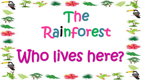Rainforest Poetry
