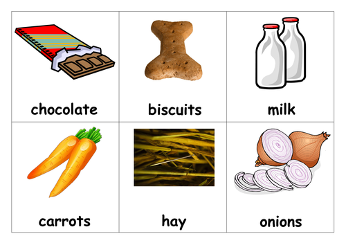 Animal Food | Teaching Resources