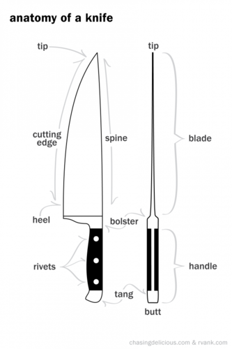 GCSE Catering 1.12: Specialist Equipment