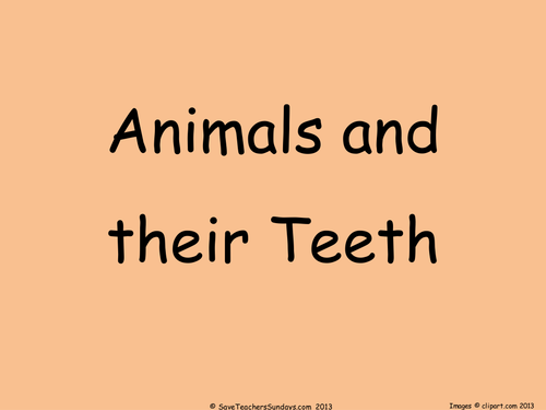 Animals and their Teeth PowerPoint