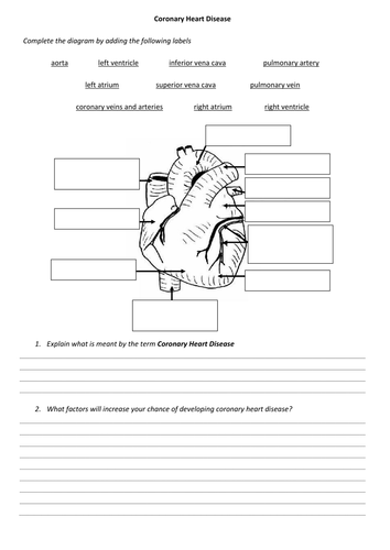 The Cardiac Cycle (and Coronary Heart Disease) | Teaching Resources