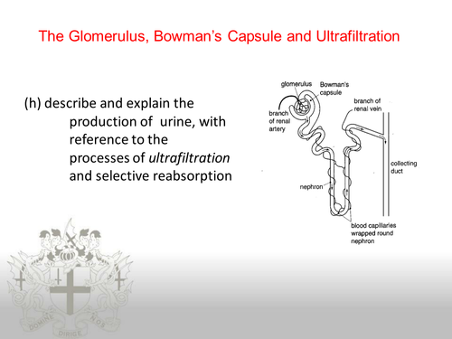 Ultrafiltration
