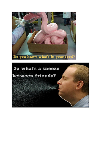 Science Displays Secondary