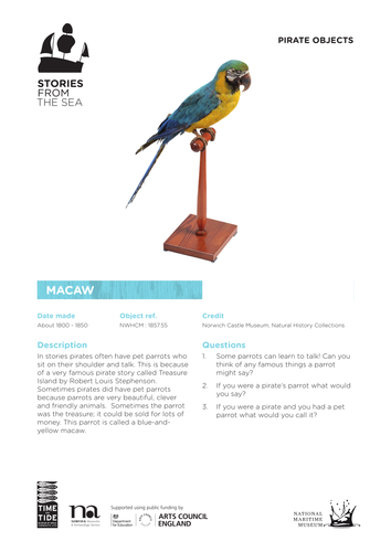 Pirate Images - Macaw