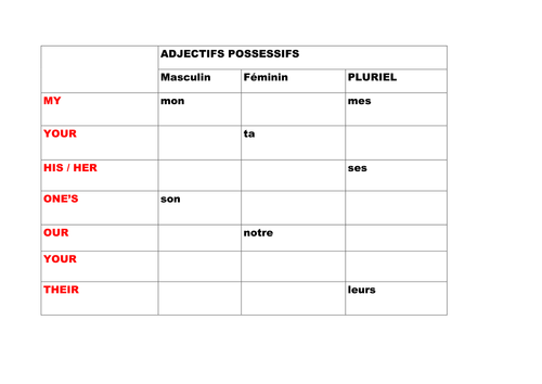 Possessive adjectives