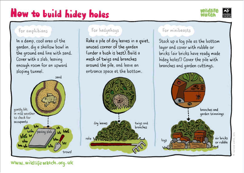 Make some hidey holes for wildlife