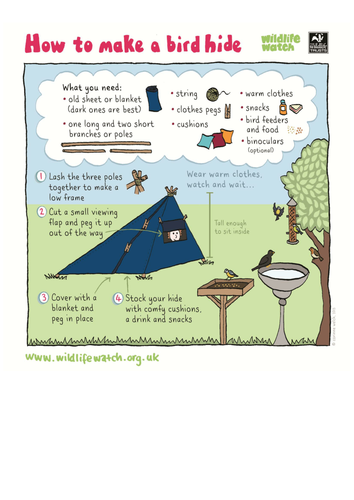 Make your own garden bird hide