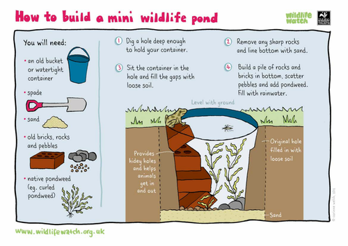 Build your own mini pond
