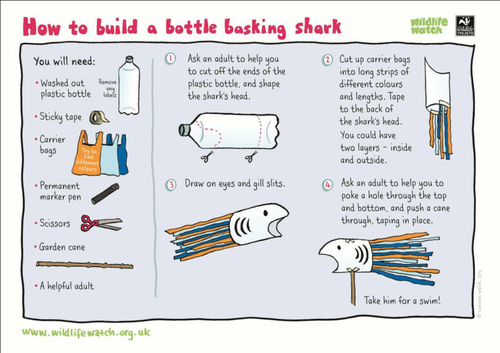 Make your own bottle basking shark