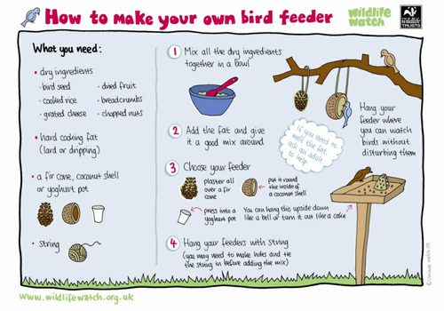 Make your own bird food and feeder