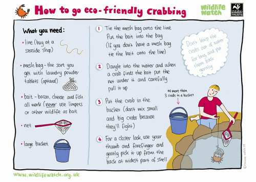 How to go eco-friendly crabbing