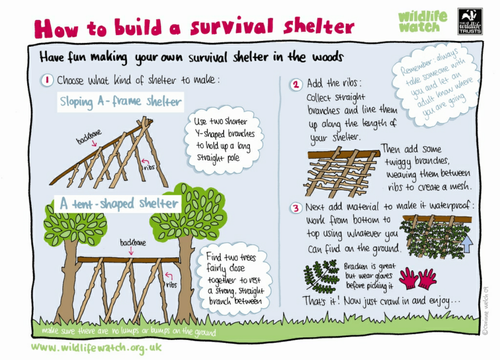 worksheet jobs for pdf kindergarten by a build shelter to survival How TheWildlifeTrusts