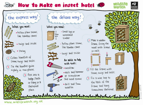 How to make an insect hotel