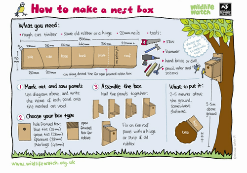 How to make a nest box