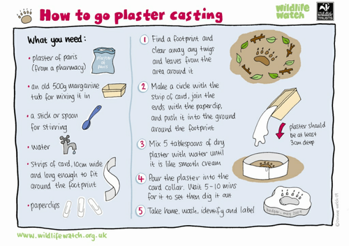 How to go plaster casting