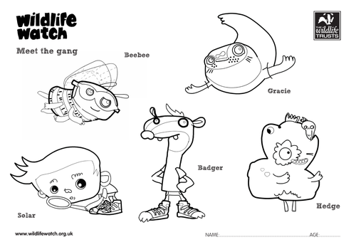 Meet the Wildlife Watch Gang Colouring Sheets