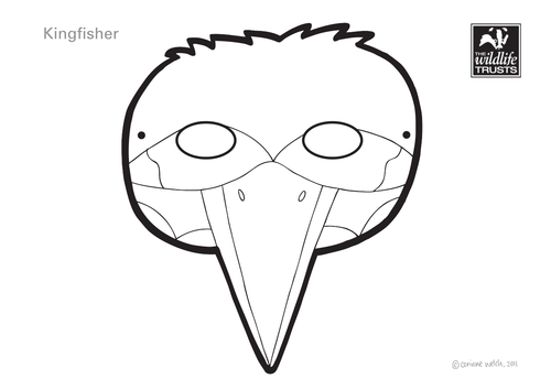 Kingfisher Face Mask