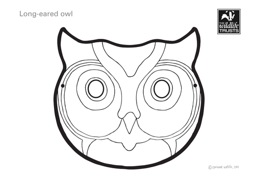 Long-eared Owl Face Mask | Teaching Resources