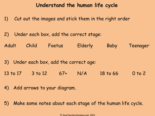 human life cycle printables