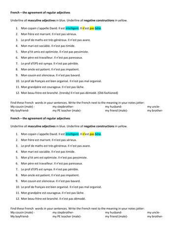 Adjective agreement -character personality writing