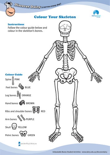 Unbeatable Bones - Colour Your Skeleton