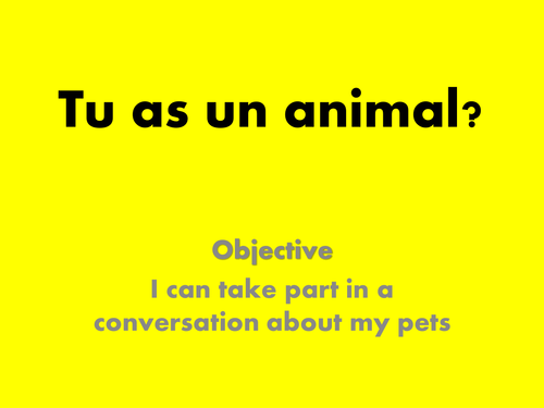 Tu as un animal?