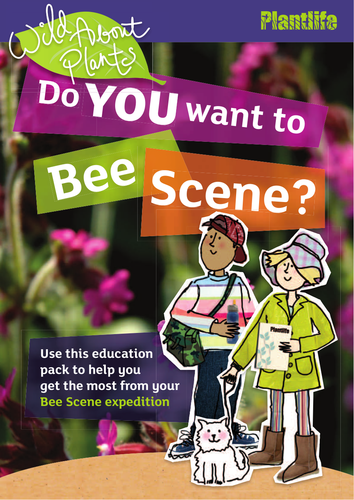 Bee Scene Education Pack