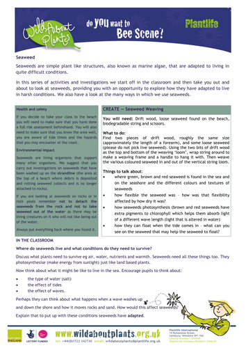 Bee Scene - Seaweed Adaptations