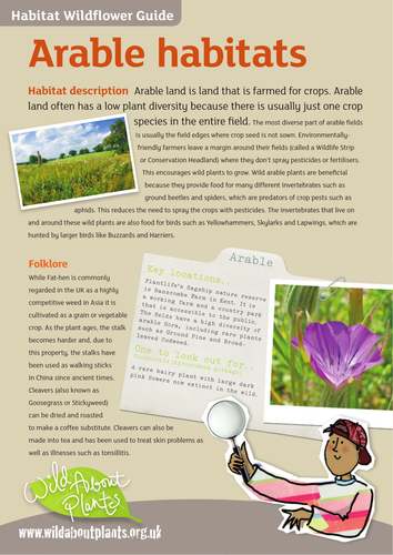 Arable Habitat Guide