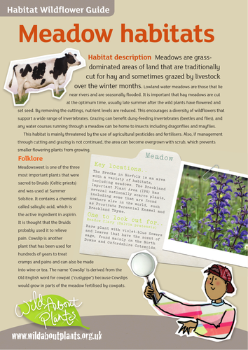 Meadow Habitat Guide