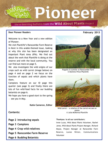 E-Learning Bulletin - February 2013