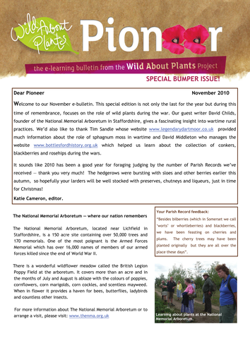 E-Learning Bulletin - November 2010