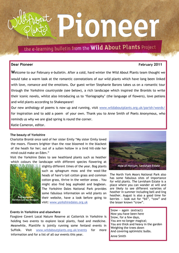 E-Learning Bulletin - February 2011